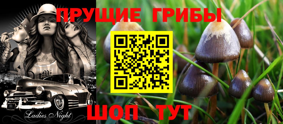 Псилоцибиновые грибы GOLDEN TEACHER Кимры