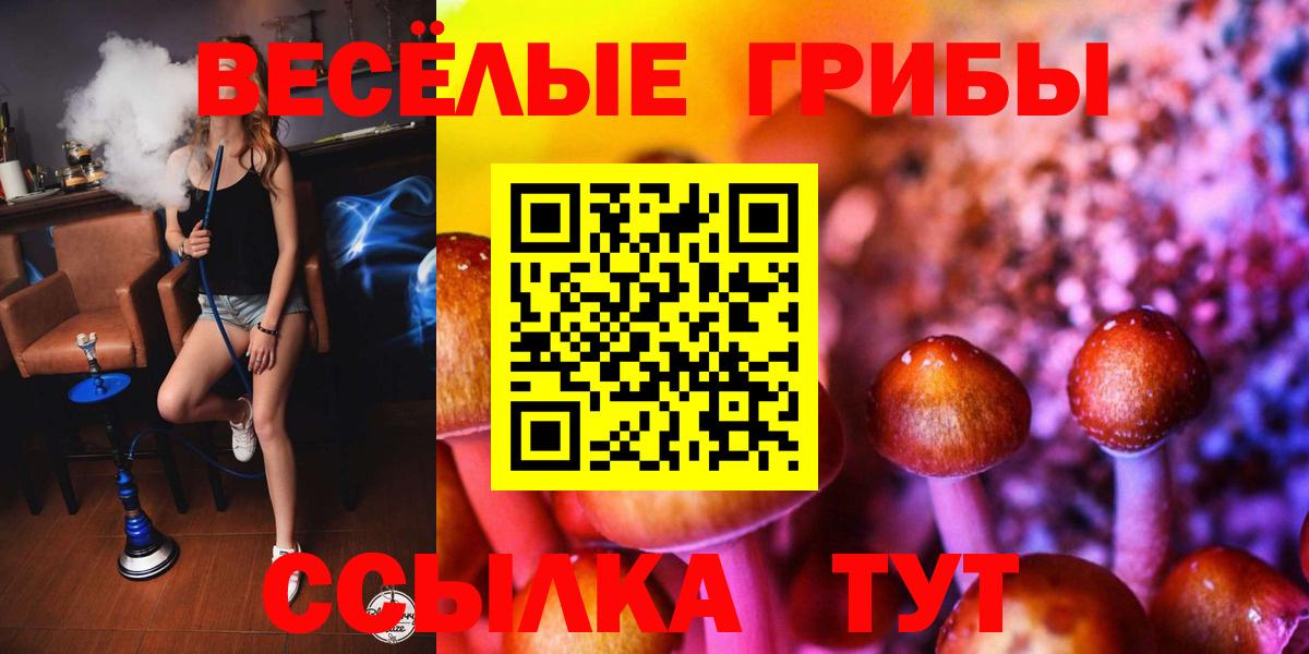 Псилоцибиновые грибы Cubensis  наркошоп  Кимры  Вход с VPN 